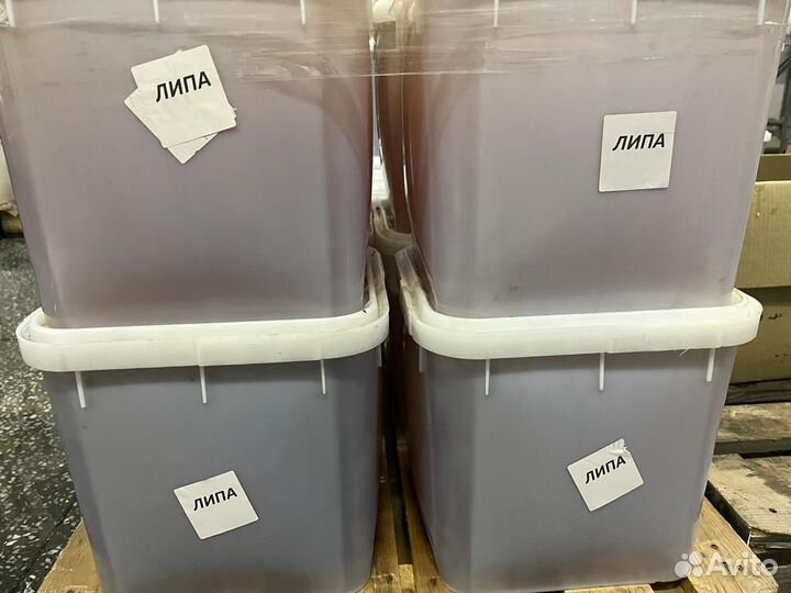 Алтайский Свежий мед 2023г