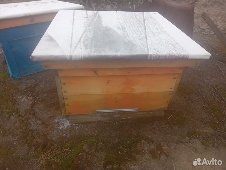 Ульи для пчел бу