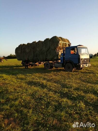 Сено солома в рулонах