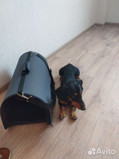 Переноска для собак