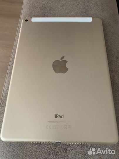 iPad