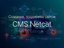 Разработка, поддержка сайтов на CMS Netcat