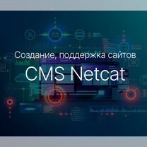 Разработка, поддержка сайтов на CMS Netcat