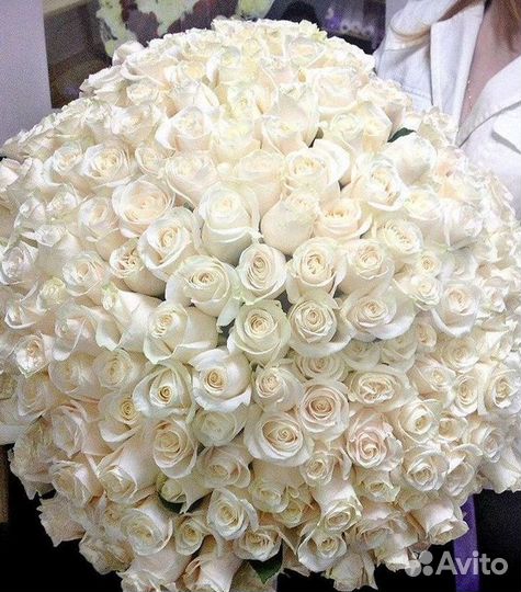 Высокие розы Букеты с доставкой