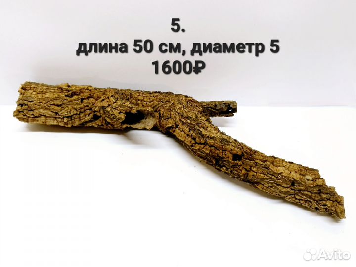 Кора пробкового дуба цилиндры