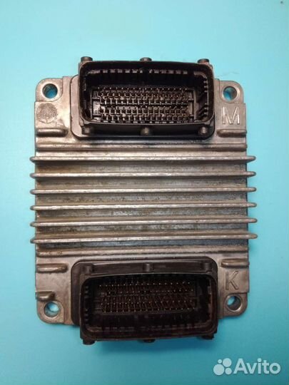 Эбу опель (мозги)