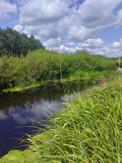 Участок 15 га (ИЖС)