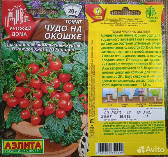 Помидоры для балкона