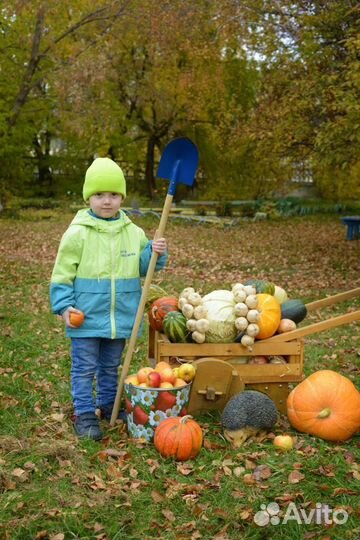 Куртка и шапка для мальчика
