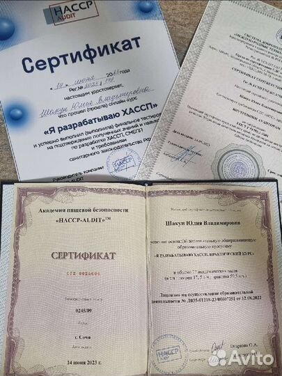 Санитарный аудит.Разработка хассп, ппк