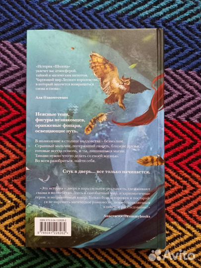 Шолох Теневые блики