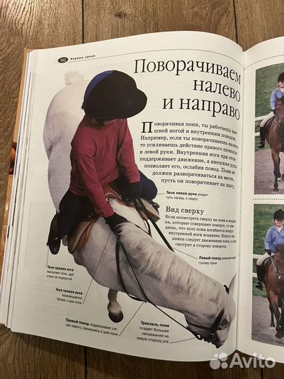 Энциклопедия лошади