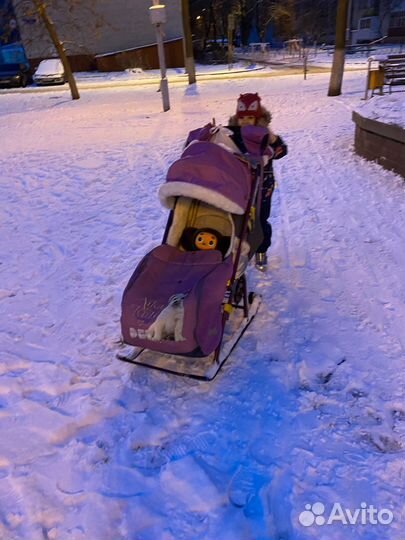 Коляска санки