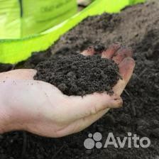 Растительный грyнт