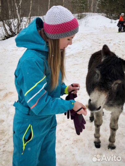 Горнолыжный костюм