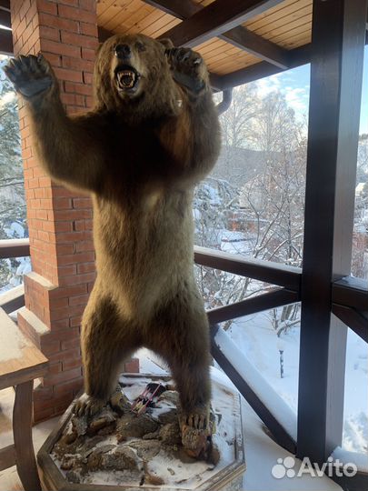 Имитация чучела бурого медведя