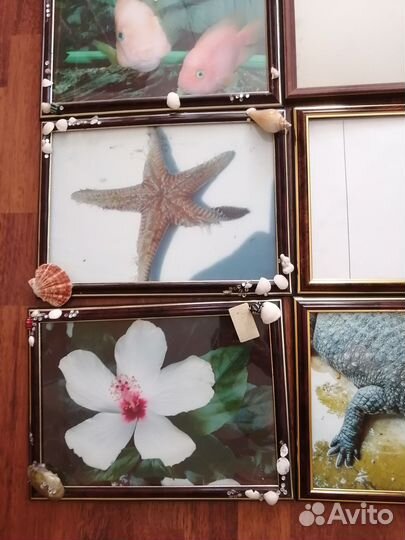 Рамки для фото 21 на 30 и 10 на 15