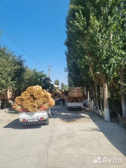 Веники сорго оптом