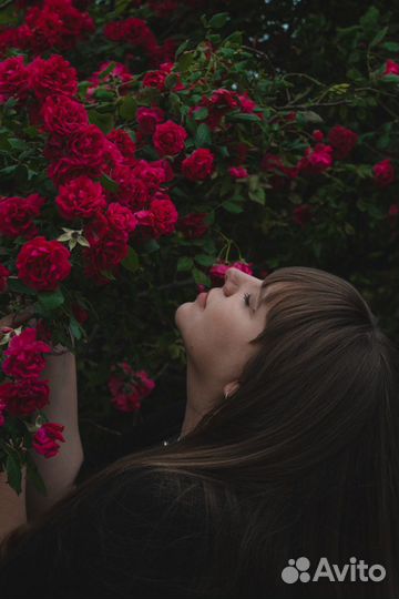 Фотосессия