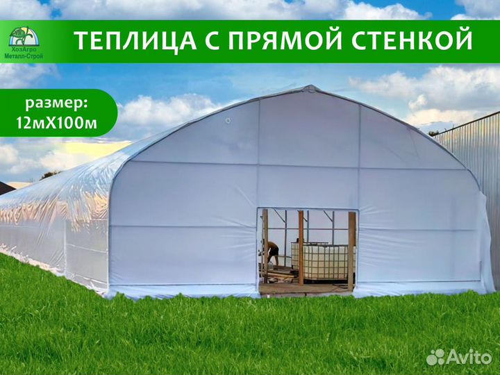 Теплица с прямой стенкой 9,6х100м