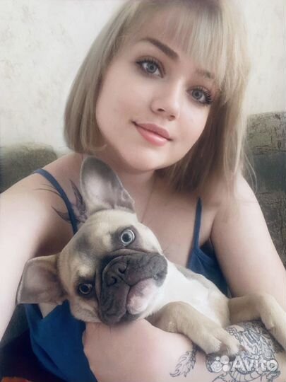 Французский бульдог девочка вязка