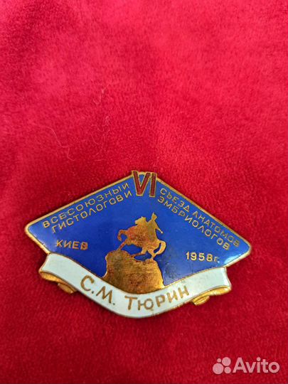 Значок именной