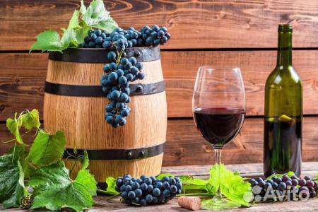 Виноград винных сортов