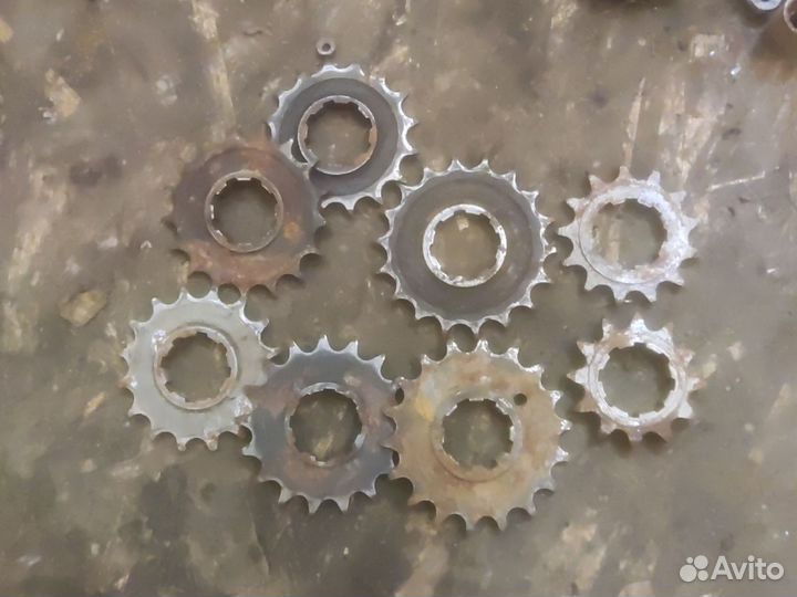 Ведущая звезда Иж