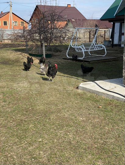 Дом 190 м² на участке 15 сот.