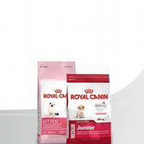 Корм для кошек royal canin