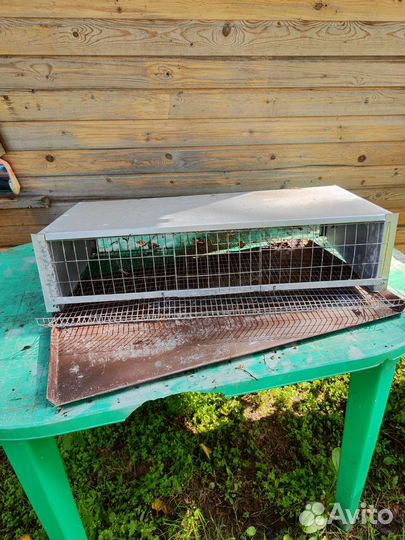 Клетка для перепелов