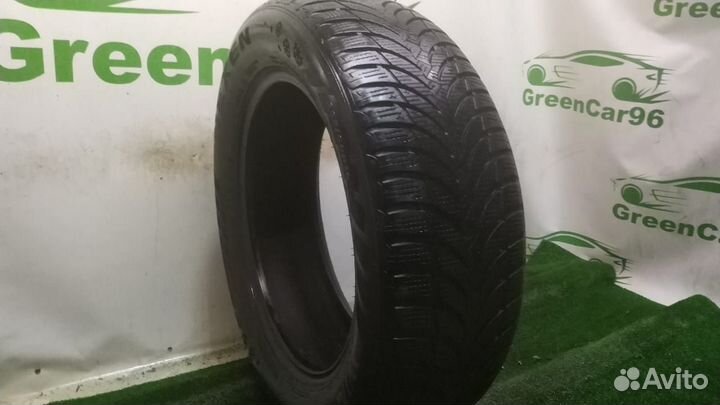 Nexen Winguard Snow G WH2 205/60 R16