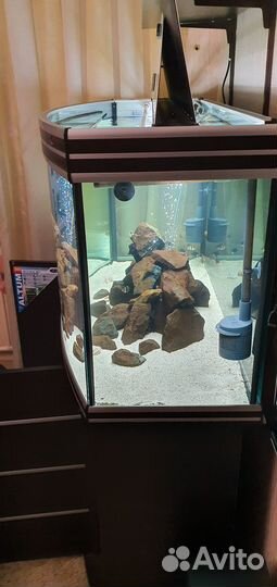 Аквариумный комплекс 