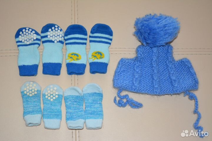 Костюм для маленьких собак