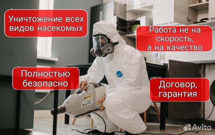 Уничтожение насекомых:тараканы, клопы,блохи и т.д