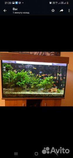 Аквариум