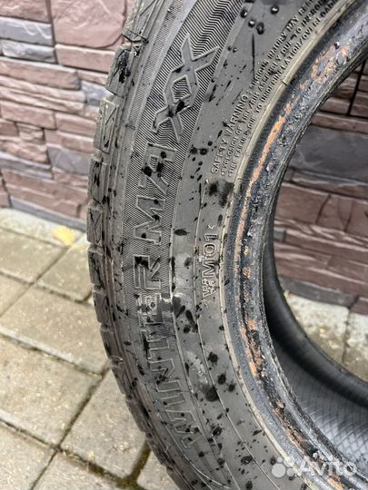Dunlop Winter Maxx WM01 195/65 R15 44E