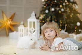 Кролик в аренду для фотосессий