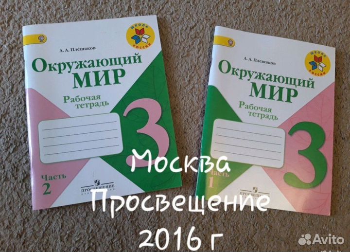 Рабочая тетрадь Окружающий мир 3 класс