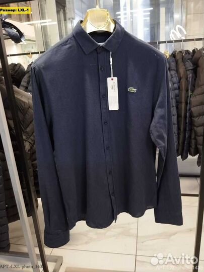 Рубашки Lacoste