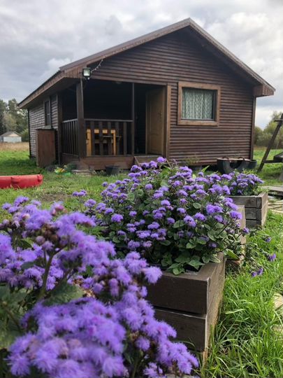 Дом 55 м² на участке 75 сот.