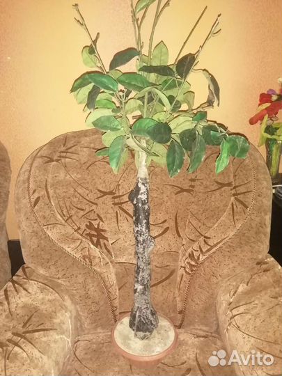 Цветок-дерево