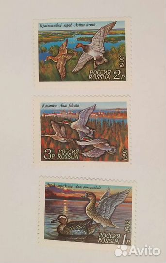 Почтовые марки Россия