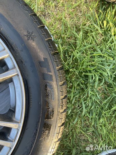 Tigar Winter 185/65 R15