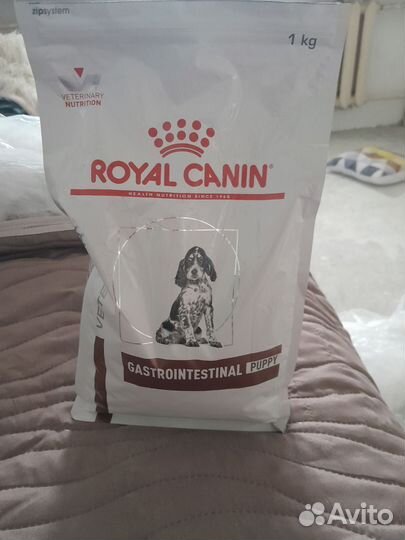 Сухой корм для щенков гастроэнтеролог