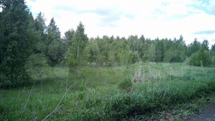 Участок 10 сот. (ИЖС)