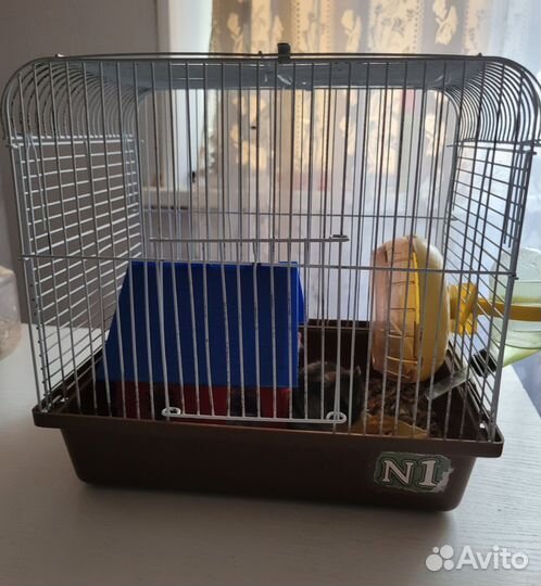 Хомяк с клеткой