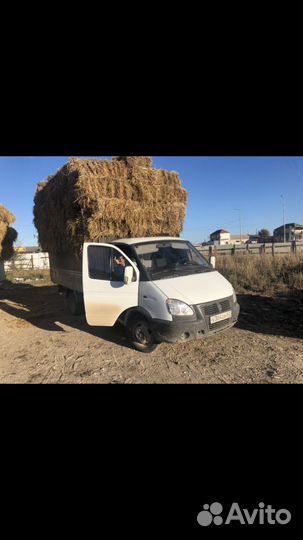 Солома рисовая