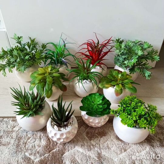 Искусственная зелень в кашпо (суккуленты)