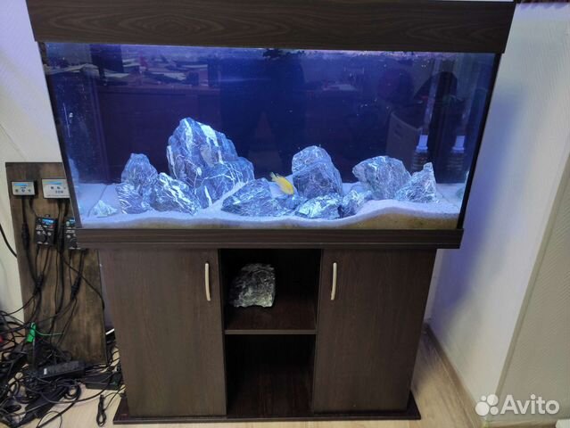 Готовый аквариум под ключ